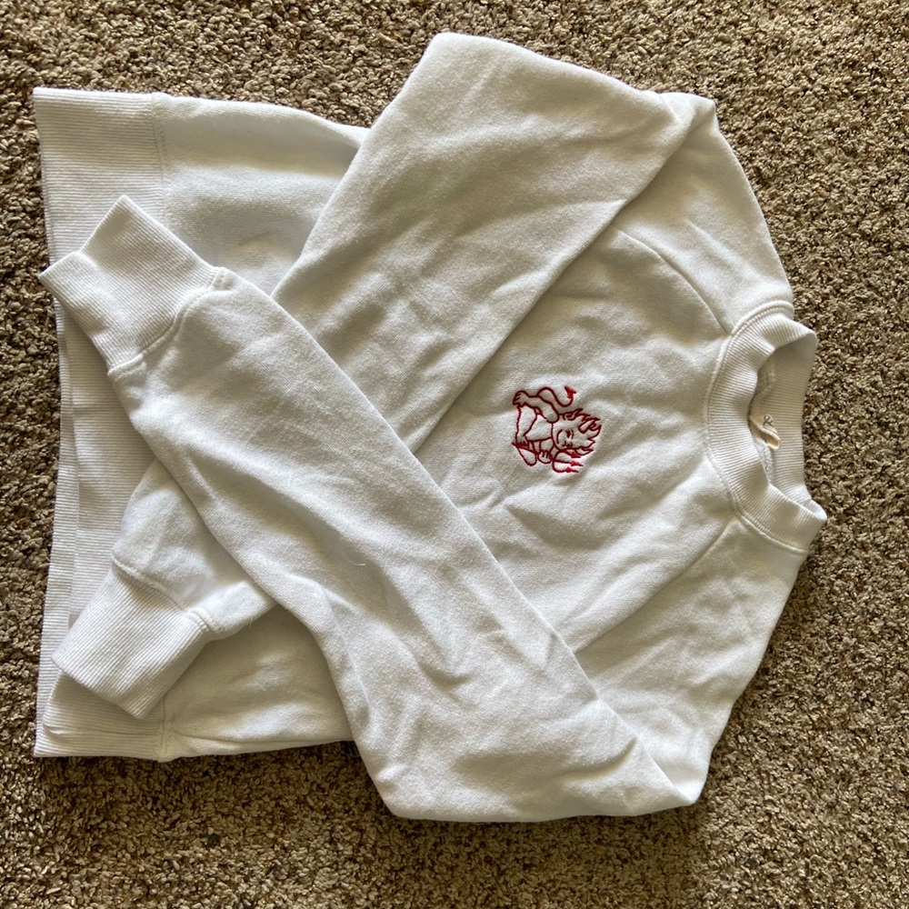 Brandy Melville Cropped Crewneck